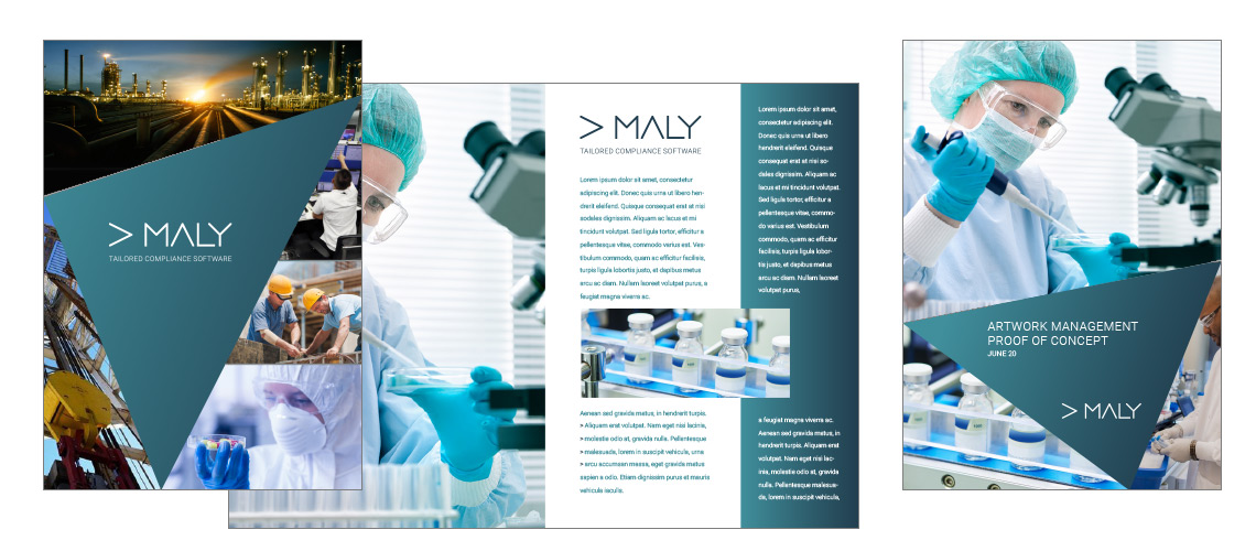Maly IT Corporate Literature