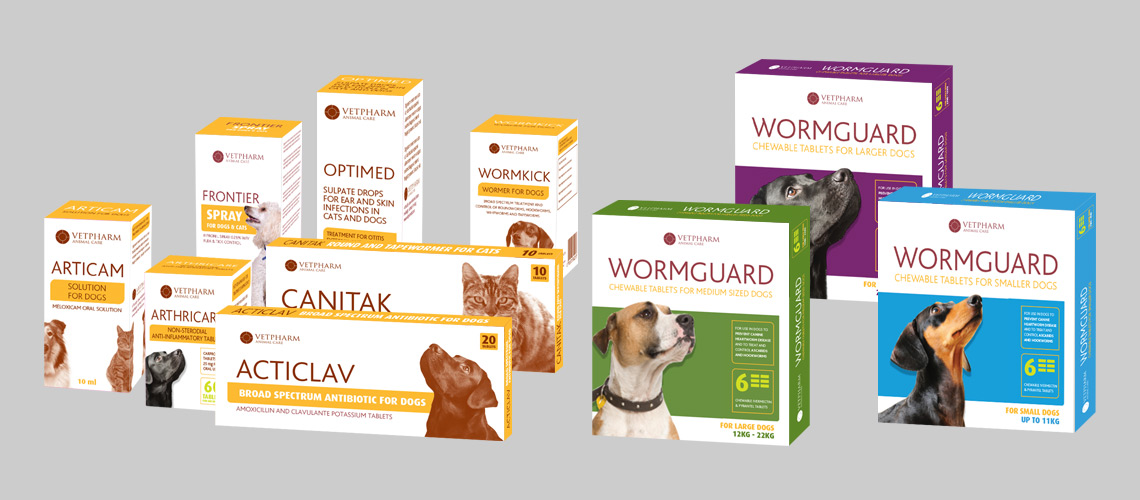 VetPharm Start Up Company Design